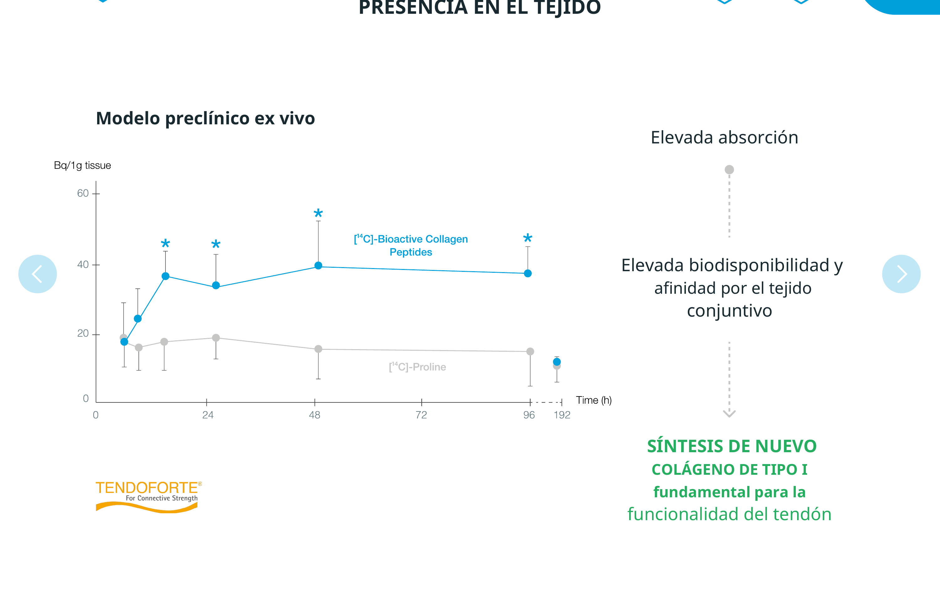 Presencia de péptidos bioactivos de colágeno en el tejido conjuntivo a lo largo del tiempo